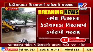 Dediyapada received unseasonal rain showers, Narmada | Tv9GujaratiNews A20