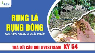 APN - TRẢ LỜI CÂU HỎI LIVESTREAM KỲ 54 | RỤNG LÁ, RỤNG BÔNG NGUYÊN NHÂN VÀ GIẢI PHÁP