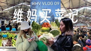 WHV Vlog 09 | 维妈买菜记 Shopping at Queen Victoria Market 🛒