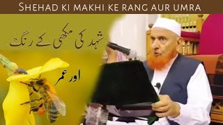 Shehad ki makhi ke rang aur Umar ||Shehad ki makhi ka bayan | Maulana makki Al hijazi | #shortvideo
