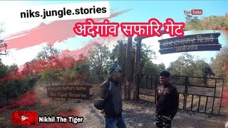 ||अदेगांव सफारि गेट|| ||Adegaon Safari Gate|| ||Bor Tiger Reserve||