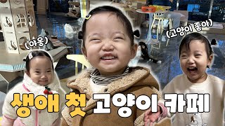 [Vlog]ep.21 / 고양이 덕후 여아린의 첫 고양이카페 방문 / 문센 / 혼자밥먹어보기