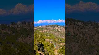 Stunning Himalayan View from Almora-Mukteshwar #shorts #himalayas #mukteshwarhills #almora