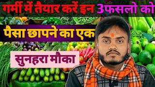 गर्मी में उगाई जाने वाली सब्जियां || Summer Vegetables || Summer Season Vegetables Planting