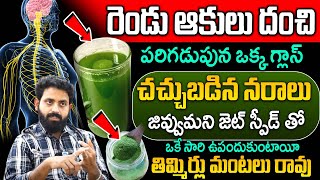 రెండు ఆకులు చాలు నరాలన్నీ జెట్ స్పీడ్ తో పనిచేస్తాయి | Nerve Weakness | Dr Aditya Ranganath | iDream