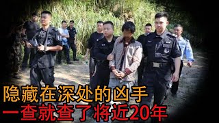 【解密日记】追凶20年，警方找出隐藏在深处的兄手#大案要案 #大案纪实 #老高和小茉 #x调查 #Wayne调查