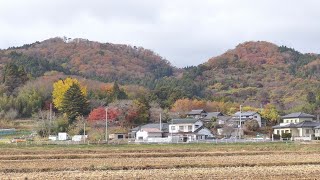 グリーンピア岩沼と常寿院大日堂の紅葉＠宮城県岩沼市