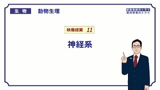 【高校生物】　動物生理11　神経系（２１分）