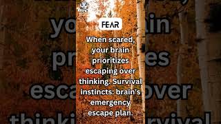 Fear Facts #quotes  #motivationalvideo  #quotesaboutlife #lifelessons #motivationenglish