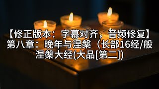 8.【修正版本：字幕对齐，音频修复】第八章：晚年与涅槃（长部16经/般涅槃大经(大品[第二])《佛陀传奇：从皇宫到涅槃的光明之路》