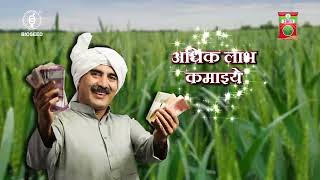 बायोसीड गेहूँ बीज 2003 || Bioseed Wheat hybrid 2003