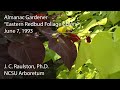 Almanac Gardener Featuring J. C. Raulston - Eastern Redbud Foliage Colors