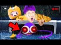 LANKYBOX vs RAINBOW FRIENDS In REAL LIFE!? (LANKYBOX ANIMATION) *ALPHABET LORE, SONIC.EXE, & MORE*