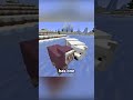 Why were polar bears added to minecraft?