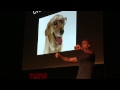 Curing the Colorblind of their Health-Blindness | Mark Changizi | TEDxSaintThomas