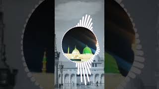 New Naat Sharif 2024 - MADINAY KO JAONDUBARA NA AAON -Raess Ramzan Islamic Releases
