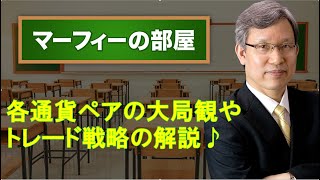 【本日の大局観とトレード戦略（ドルストレート通貨ペア）（1月25日）】