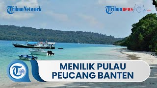 Menilik Wisata Pulau Peucang Banten, Wisatawan Dapat Lakukan Kegiatan Menyelam hingga Snorkeling