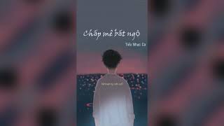 [Vietsub+Pinyin] Chấp Mê Bất Ngộ(Remix)-Tiểu Nhạc Ca/执迷不悟 (DJ名龙版)-小乐哥