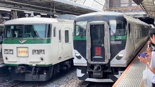 国鉄185系と警笛を鳴らすE257系5500番台が大宮駅で並ぶシーン！（2024.5.26.10:26）