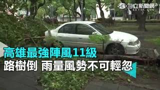 高雄最強陣風11級　路樹倒 雨量風勢不可輕忽｜三立新聞網SETN.com