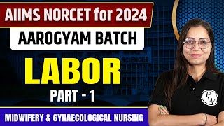 Labor Part-1 | Midwifery \u0026 Gynaecological Nursing | NORCET 6 2024