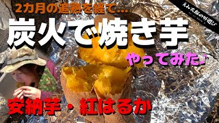 【炭火で】2人だけの焼き芋大会　紅はるか/安納芋　Japanese sweet potatos