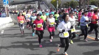 ウィメンズマラソン２０１６　スタート 　右側　全参加者