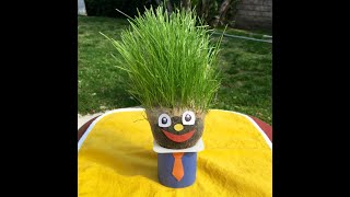 Grow Your Own Grass Head!