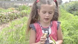 Unusual and Fun Varieties of Carrots with Sasha