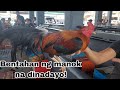 Episode 10: Bentahan ng Manok sa Padre Garcia Batangas