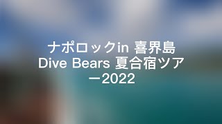 【喜界島】ナポロック Dive Bears 夏合宿ツアー2022