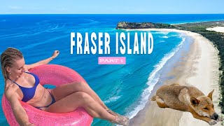 Would You Explore Fraser Island Alone After This? 🐕