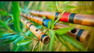 Flute Music Collection Relaxation @ Sleeping Mood புல்லாங்குழல் இசை சேகரிப்பு