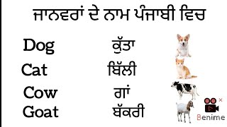 Animals Name in Punjabi- ਜਾਨਵਰਾਂ ਦੇ ਨਾਮ ਪੰਜਾਬੀ ਵਿਚ/  Animals Name in English with Pictures