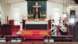 SSPXNZLIVE  Livestream - 27 January 2019 High Mass