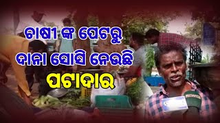 ଚାଷୀ ଭାଇଙ୍କ ପେଟରୁ ଦାନା ଶୋଷି ନେଉଛି ପଟାଦାର । BHUBAN । #dhenkanal #cmoodisha #livenewsupdates #bhuban