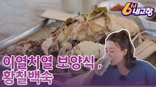 [6시내고향] 이열치열 보양식, 황칠백숙 – 전남 장흥 220713 by KBS광주