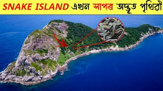 Snake Island - এই দ্বীপটোত থাকে পৃথিৱীৰ সকলোতকৈ ভয়ানক সাপ | Mysterious of Snake Island