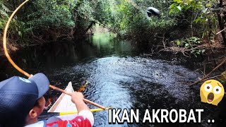 TERNYATA ADA IKAN TERBANG DISINI .. 😱😱 ..