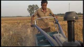 Saving water and overcoming salinity with conservation agriculture