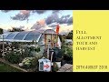 A full allotment tour and typical Tuesday harvest