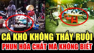 ⚠️ CẢNH BÁO: CÁ KHÔ KHÔNG THẤY RUỒI - PHUN BỎ HÓA CHẤT | LỜI CẢNH BÁO THVL | CHUYỆN CẢNH BÁO 2024