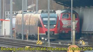 BR 644 (Talent) in den Bahnhöfen Bestwig und Brilon Wald im Dezember 2019