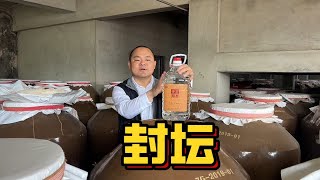 桶装新酒封坛，茅酒守艺人亲自演示，吃奶的劲儿都使出来了