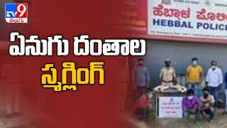 ఏపీలో రెచ్చిపోతున్న స్మగ్లర్లు - TV9