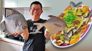 Need To Watch To Know the Different Types Of Pomfret