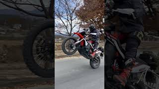 KTM 890 adventure R / 엠삼랠리 스페셜