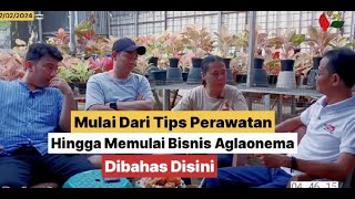 Penjual Buka Suara❗Berbagi Tips dan Info❗ Seputar Dunia Aglaonema