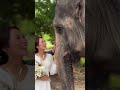 【タイで起業1年生夫婦】お客様ウエディングフォトwithゾウさん🐘💓タイならではのウエディングやフォトを提案しています👰‍♀️ thailand japanese wedding